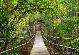 El método como un puente