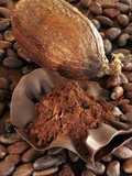 Propiedades de la fibra de&nbsp;cacao