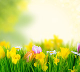 Prepararse dietéticamente para primavera y&nbsp;verano