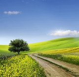 La felicidad como&nbsp;camino