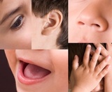 Cómo usar la mente y las percepciones de forma&nbsp;apropiada