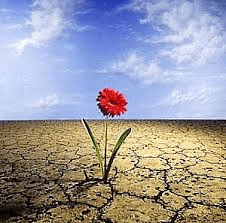 Lo que hemos de evitar para ser&nbsp;resilientes