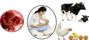 Factores de transferencia