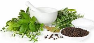 Legislar en fitoterapia