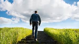 peregrino, guerrero y sabio