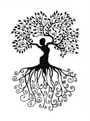 El Enraizamiento Sofrodynámico