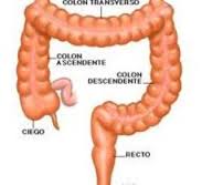 colon