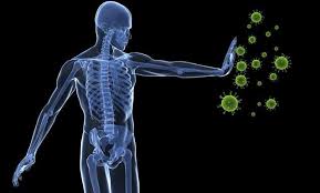 estrés y sistema inmune