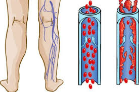 Consejos para la&nbsp;circulación