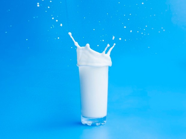 ¿Es la leche de vaca&nbsp;saludable?