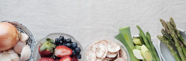 ¿Qué son los&nbsp;prebióticos?