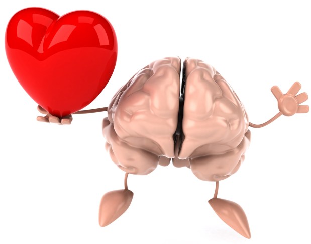 Corazón y cerebro: historia de una&nbsp;amistad